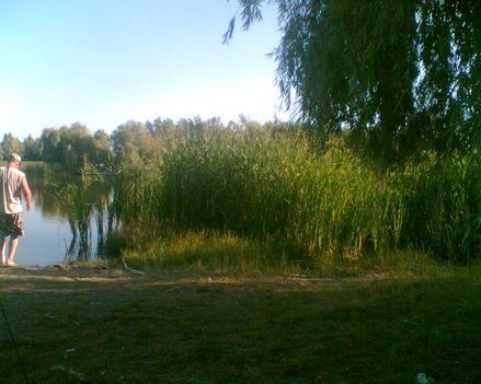 a tó és környéke