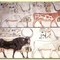 Egyiptom, bikák
