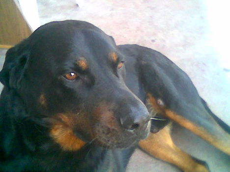 Misike