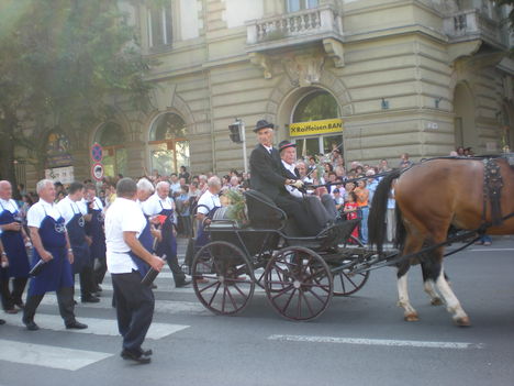 Szekszárd.Szüreti felvonúlás