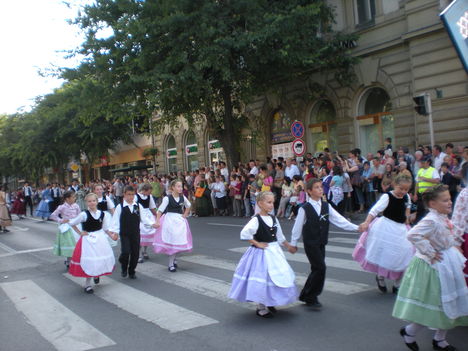 Szekszárd.Szüreti felvonúlás