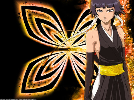 [AnimePaper]wallpapers_Bleach_veggie(1