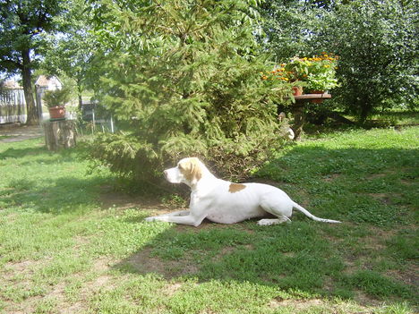 Ernuska