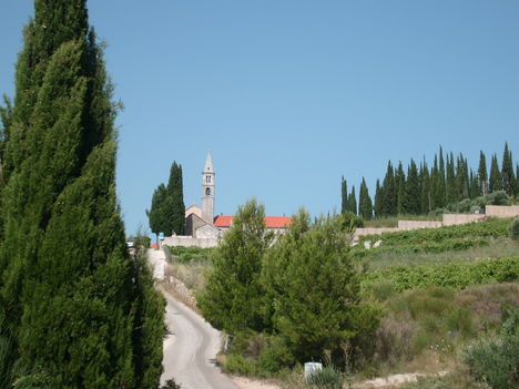 Orebic útban a templomhoz