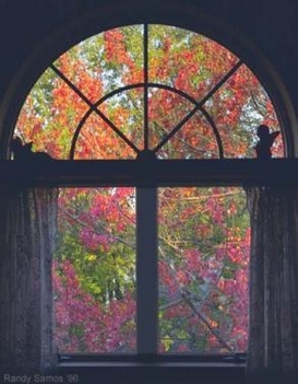 őszi ablak