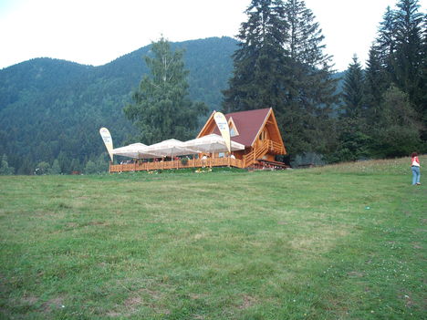 Kép 594