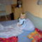 Kép 018