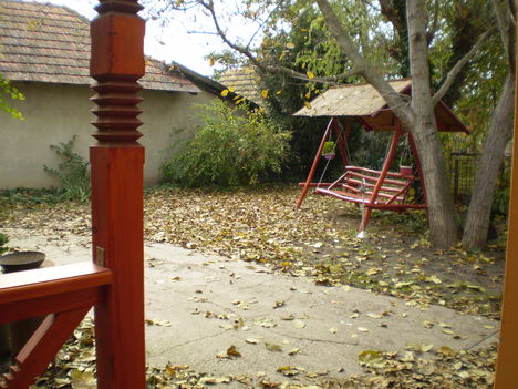 2009  ősz  az  udvaron