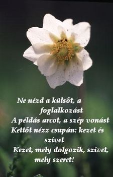 2-őt,nézz,kezet,szivet