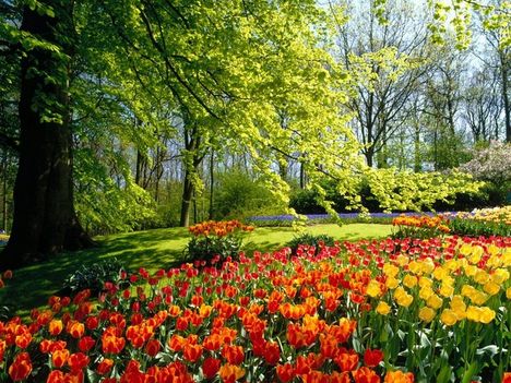 A_vilag_legszebb_park-reszlete