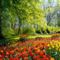 A_vilag_legszebb_park-reszlete