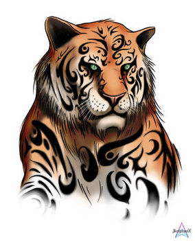 tigris 13