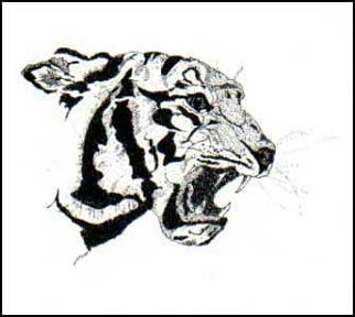 tigris 22