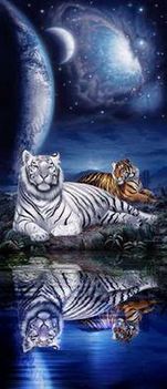 tigris 28