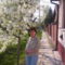 2009,virágzik a kis meggyfa a házunk mellett