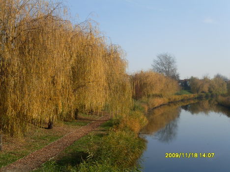 Szeged Holt- Maros 207