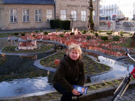 dánia 2008