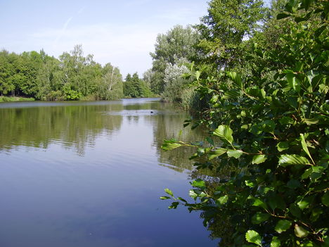 Szombathely a Tó