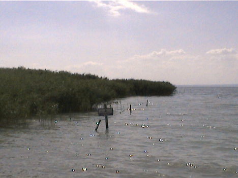 DCAM0037