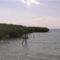 DCAM0037