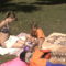 DCAM0043