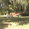 DCAM0044