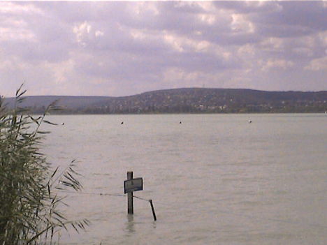 DCAM0045