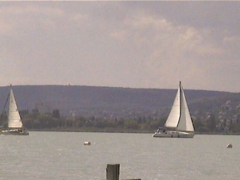 DCAM0052