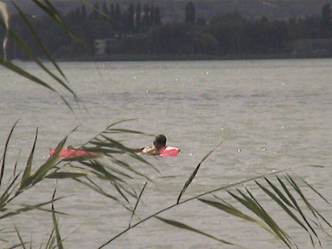 DCAM0061