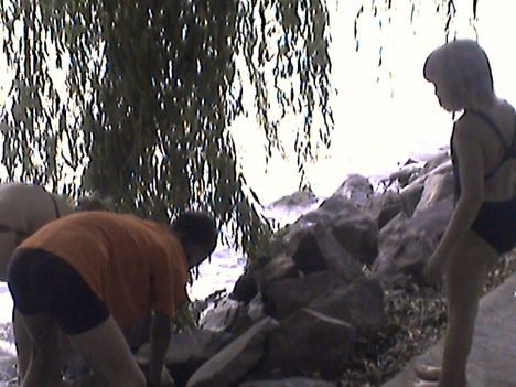 DCAM0082