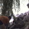 DCAM0082