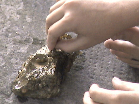 DCAM0085