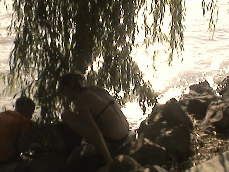 DCAM0087