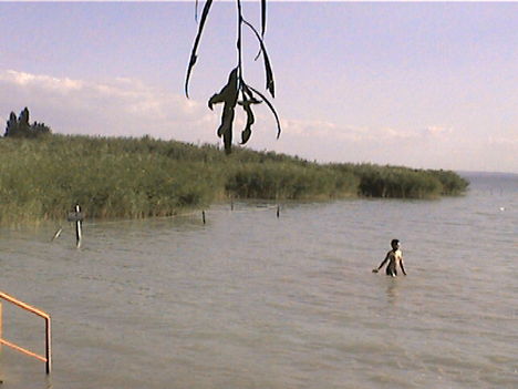 DCAM0088