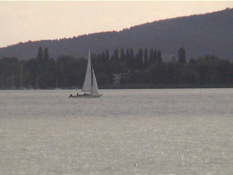 DCAM0089