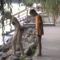 DCAM0095