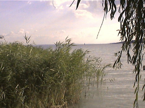 DCAM0096