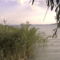 DCAM0096