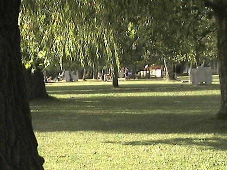 DCAM0103