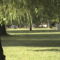 DCAM0103