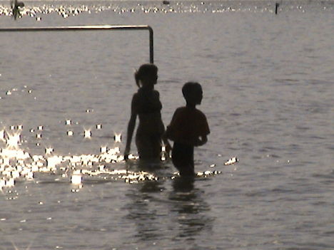 DCAM0110