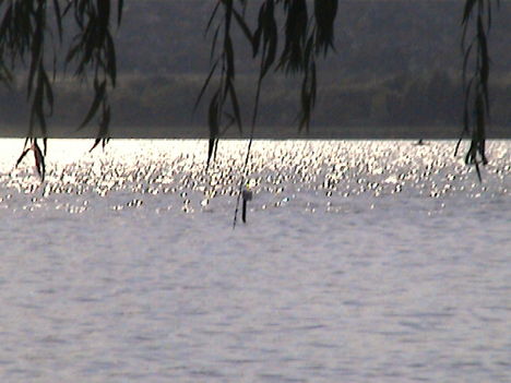 DCAM0112