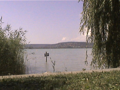 DCAM0120