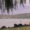 DCAM0121