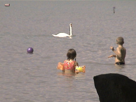 DCAM0124