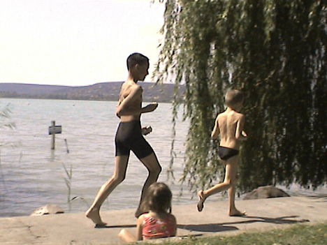DCAM0130