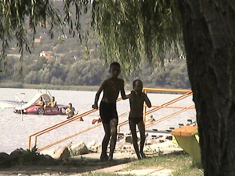 DCAM0131