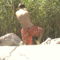 DCAM0139