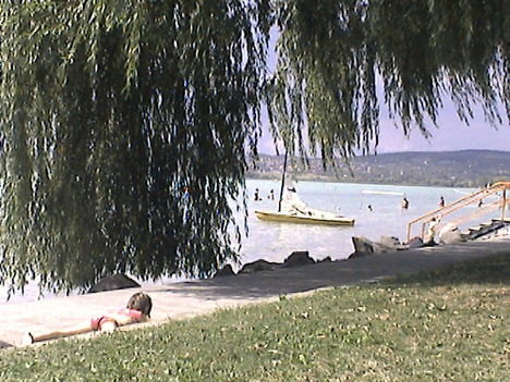 DCAM0154