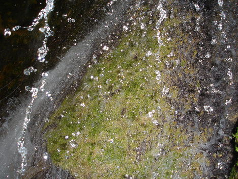 DSC00132